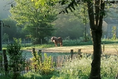 IMG_20240816_073324