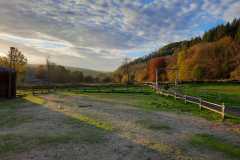 IMG-20221026-WA0001