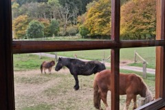 20251016_125736
